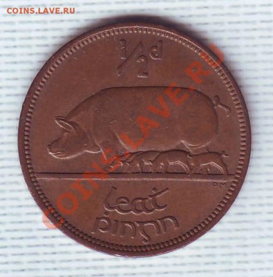 Ирландия.Пол Пенни.1964.Свинья. до 13 Июня - 19640019.JPG