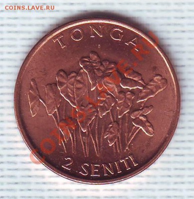 Тонга.2 Сенити.2002.ФАО. до 13 Июня - 20020009.JPG