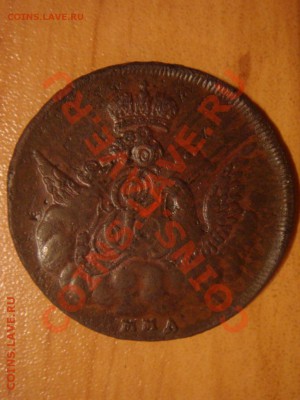 Копейка 1755 ММД NGC AU50 оценка - DSC06605.JPG