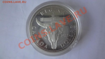 Ag! Доллар Регина1982г Череп. Пруф. Короткий 10.06 22.00мск - DSC04851.JPG