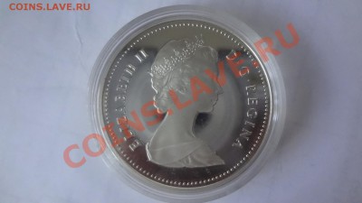 Ag! Доллар Регина1982г Череп. Пруф. Короткий 10.06 22.00мск - DSC04852.JPG