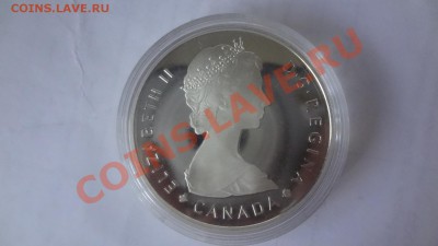 Канада: Ag-500 1$ 1985г Лось!ПРУФ Короткий10.06.13г 22.00мск - DSC04854.JPG
