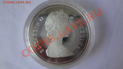 Ag! Доллар Канада. Ванкувер ПРУФ1986г Корот 10,06 22.00мск - DSC04856.JPG