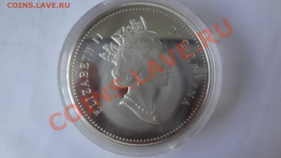 Ag! Канада Доллар Фронтенак 1991г Пруф. Корот 10.06 22.00мск - DSC04860.JPG