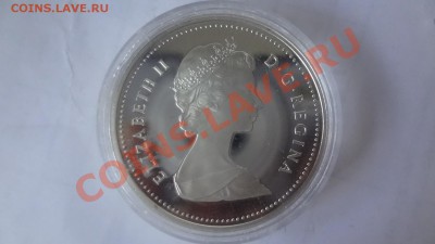 Канада: Ag-500 1$ 1984 ПРУФ Торонто в капсуле до 10.06 22.00 - DSC04864.JPG