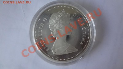 Ag! Канада Доллар Эдмонт 1983гПРУФ Корот 10.06 22.00мск - DSC04866.JPG