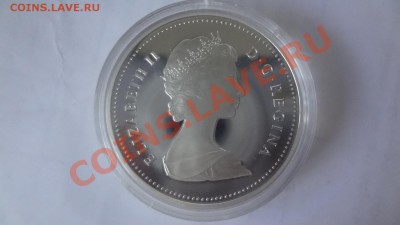 Ag! Доллар Канада Паравоз 1981г ПРУФ Корот 10.06 22.00мск - DSC04868.JPG