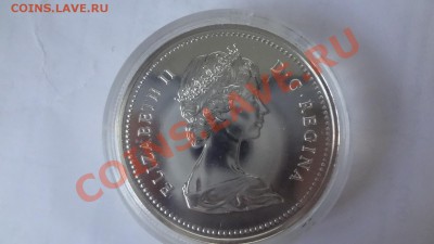 Канада: Ag-500 1$ 1974 UNC Виннипег в капсуле до 10.06 22 - DSC04872.JPG
