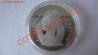 Ag! Канада Река Макензи ПРУФ Корот До 10.06 22.00мск - DSC04874.JPG