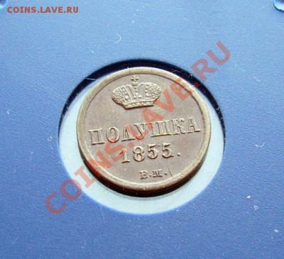 Полушка 1855 Варшава в коллекцию до 14.06.13 22:00 Идеал! - 6.JPG