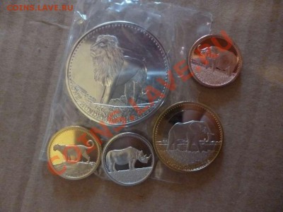 ДК Сомали набор животные новинка 15.06 - P1030936_thumb