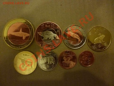 ДК Северный полюс Россия биметалл животные 15.06 - P1030966_thumb