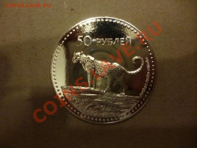ДК Южная Осетия 50 рублей Пантера Редкая 15.06 - P1030973_thumb