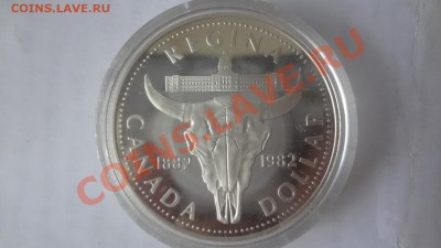 Ag! Доллар Регина1982г Череп. Пруф. Короткий 11.06 22.00мск - DSC04879.JPG