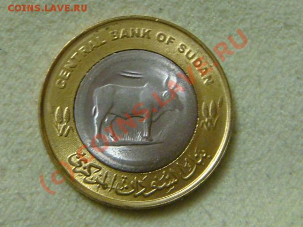 -v-Судан 25 пиастр 2006г. UNC до 20.12 - DSC03285.JPG