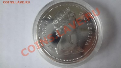 Канада Ag-500 1$ 1975 ПРУФ Калгари в капсуле до 15.06 22.00м - DSC04897.JPG