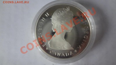 Канада: Ag-500 1$ 1985г Лось!ПРУФ Короткий15.06.13г 22.00мск - DSC04899.JPG