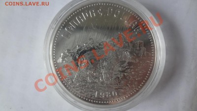 Ag! Доллар Канада Медведь 1980г ПРУФ. До 15.06.13г 22.00мск - DSC04904.JPG