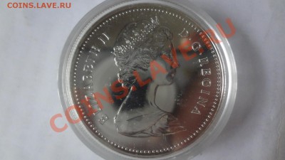 Ag! Доллар Канада Медведь 1980г ПРУФ. До 15.06.13г 22.00мск - DSC04905.JPG
