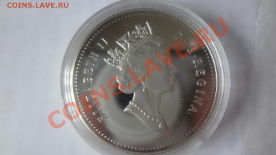 Ag! Доллар Келсей Aunc 1990г Капсула До 15.06 22.00мск - DSC04907.JPG