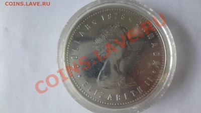 Ag! Доллар Игры Содружества 1978г ПРУФ 15.06 22.00мск - DSC04911.JPG
