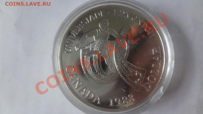 Ag! Канада Доллар Эдмонт 1983гПРУФ Корот 15.06 22.00мск - DSC04912.JPG