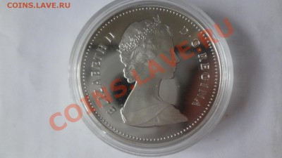 Ag! Канада Доллар Эдмонт 1983гПРУФ Корот 15.06 22.00мск - DSC04913.JPG