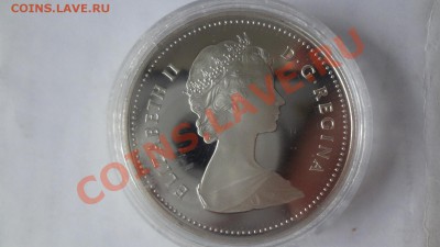 Канада: Ag-500 1$ 1984 ПРУФ Торонто в капсуле до 15.06 22.00 - DSC04915.JPG