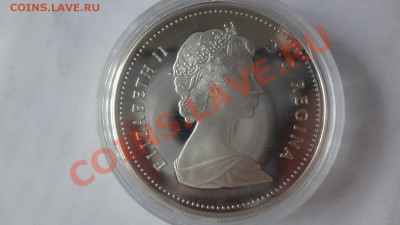 Канада Ag-500 1$ 1988 Кузнецы в Unce!  до 15.06.13Г 22.00МСК - DSC04919.JPG