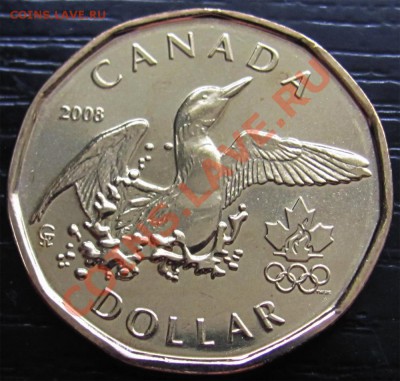 X94 Канада 1$ 2008 Lucky Loonie UNC до 17.06 в 22°° - X94 Canada 1$ 2008_1