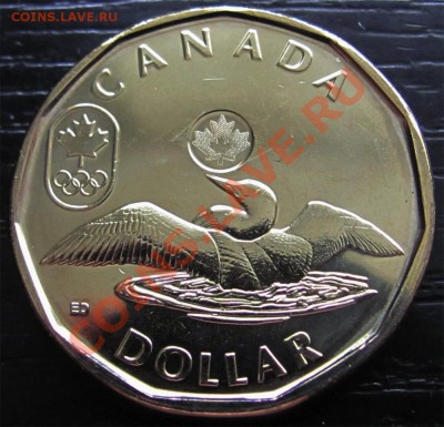 X96 Канада 1$ 2012 Lucky Loon UNC до 17.06 в 22°° - X96 Canada 1$ 2012  Lucky Loon_1