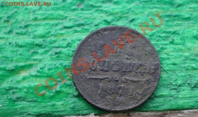 4  1871 ЕМ, не частая  до 16.06 21.00 МСК - P4250669.JPG