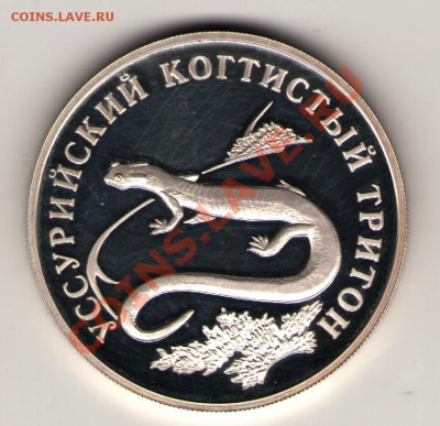 1 рубль 2006 Уссурийский когтистый тритон пруф СПМД - Scan-130529-0002