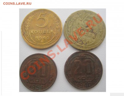С копа - 1.JPG
