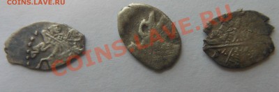 Прошу помощи в опознании чешуек! - DSCN1671