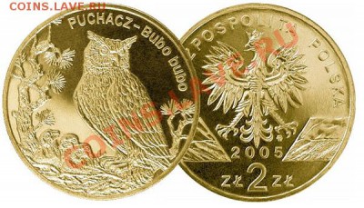 Изображение совы на монетах - coin_2669