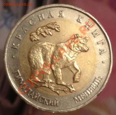 КК Гималайский медведь . До 14.06.13 г 22.00 МСК - image