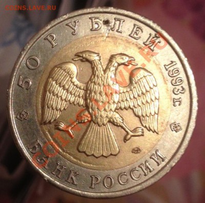 КК Гималайский медведь . До 14.06.13 г 22.00 МСК - image