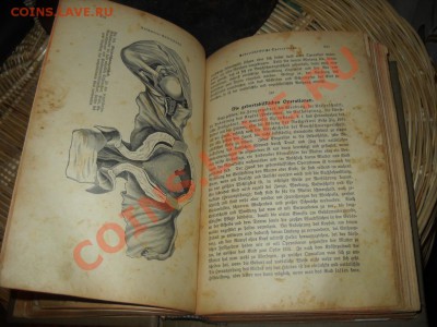 Старая немецкая книга, предпродажная оценка - 3311693235_5