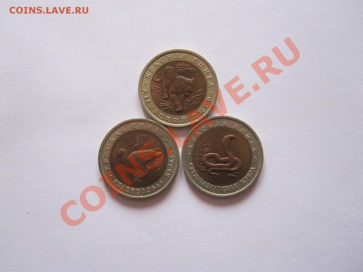Красная книга  (3 монеты) 1992 биметалл 19.06 22:00 - IMG_7599.JPG