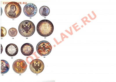 Результаты Sincona # 2 - ex goodman lot 904 1