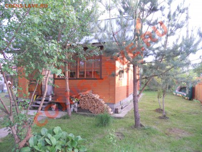 Мой сад и огород - 034.JPG