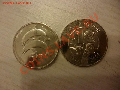 ДК Исландия 5 крон Дельфин ФИКС 20.06 - P1040286_thumb