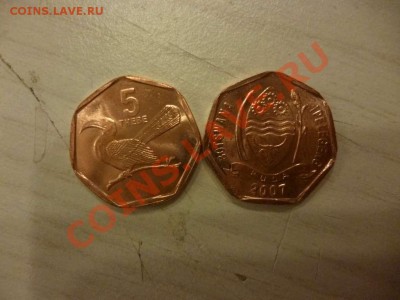 ДК Ботсвана 5 тхебе Птица ФИКС 20.06 - P1040299_thumb