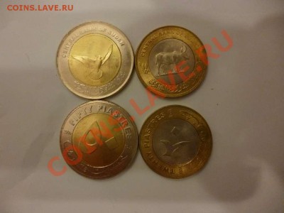 ДК Судан Животные биметалл ФИКС 20.06 - P1040050_thumb