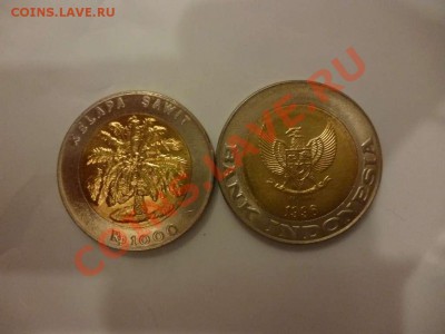 ДК Индонезия 1000 рупий биметалл ФИКС 20.06 - P1040051_thumb