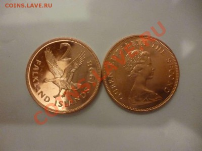 ДК Фокленды 2 пенни Птица ФИКС 20.06 - P1040052_thumb