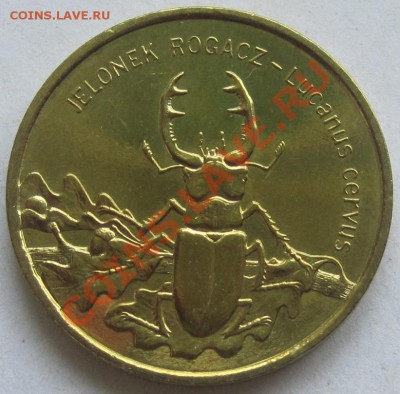 2 злотых 1997. Жук-олень; до 19.06, 20-00 - IMG_8271.JPG