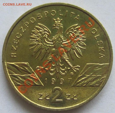2 злотых 1997. Жук-олень; до 19.06, 20-00 - IMG_8272.JPG