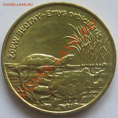 2 злотых 2002. Европейская болотная черепаха;до 19.06,20-00 - IMG_8275.JPG